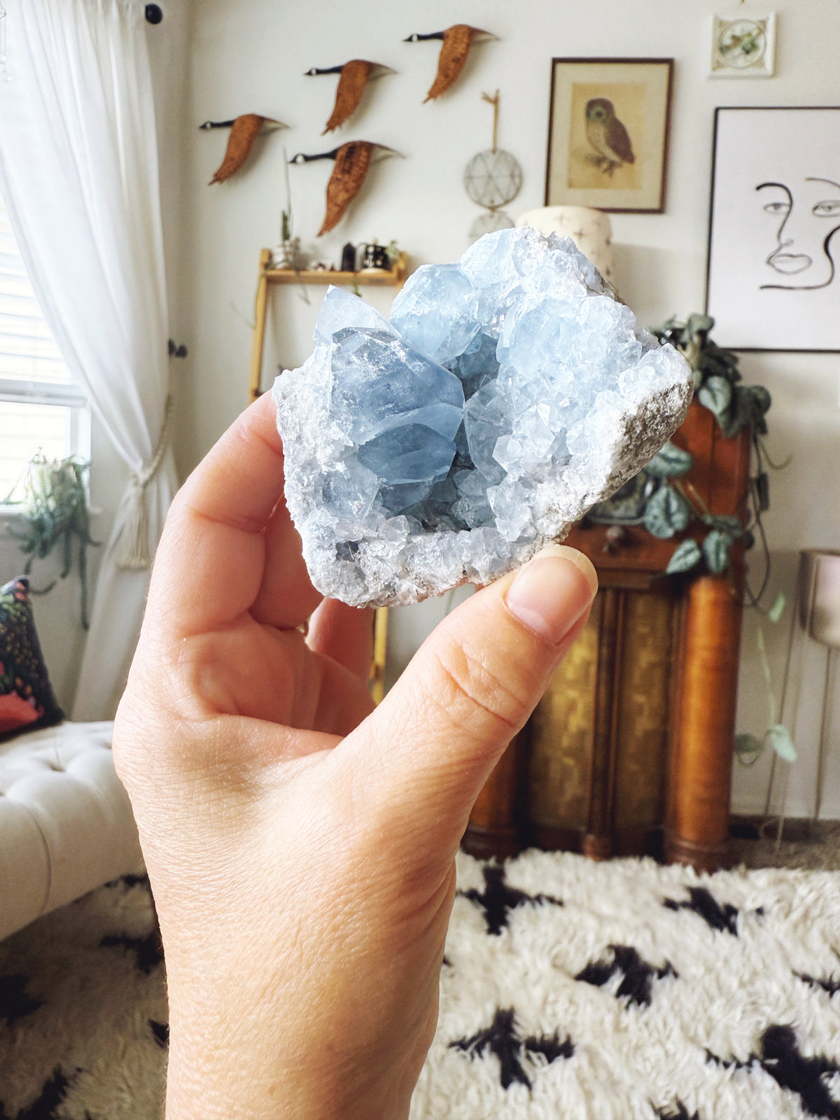 Blue Celestite Crystal Cluster