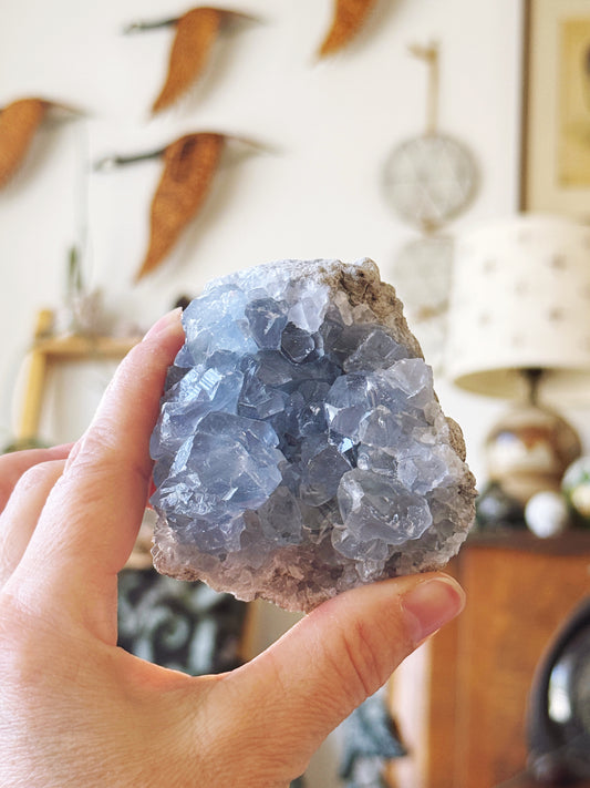 Blue Celestite Crystal Cluster