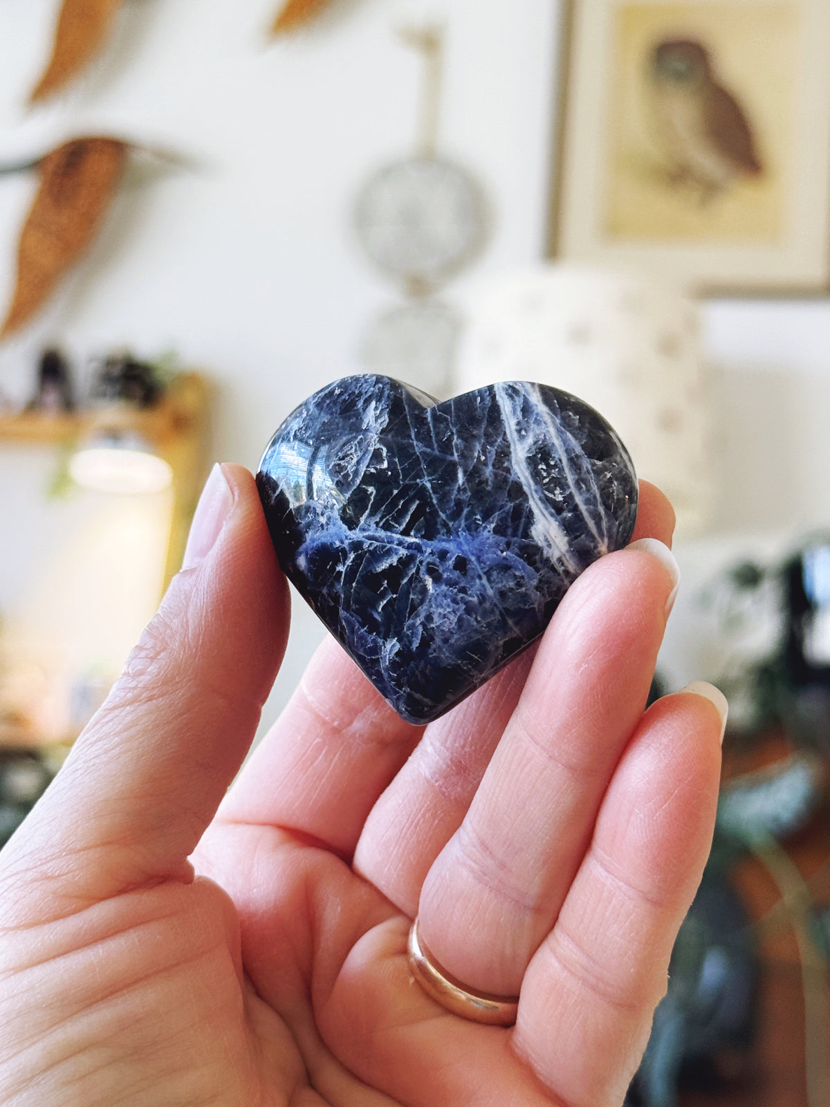 Sodalite Polished Crystal Heart