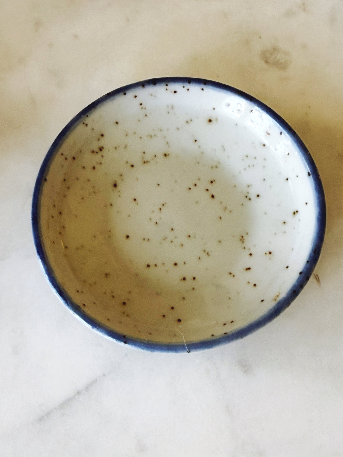 Vintage Speckled Stoneware Blue Planter