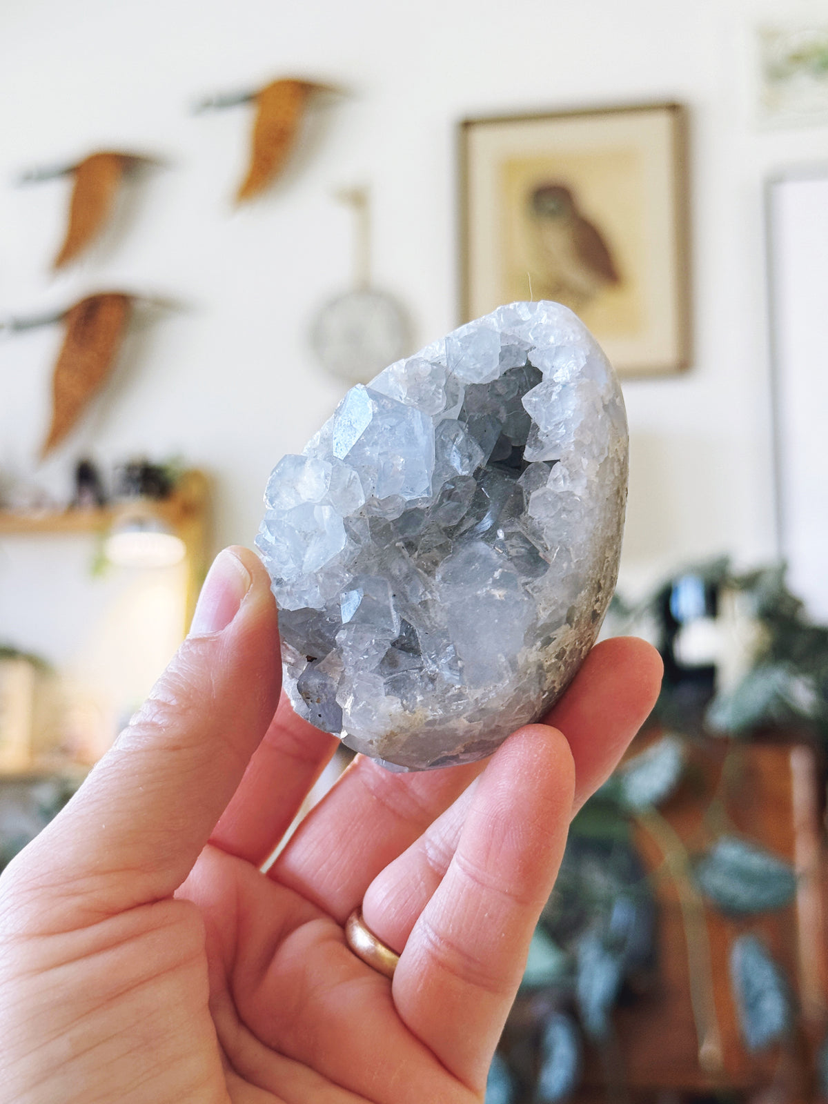 Blue Celestite Crystal Cluster